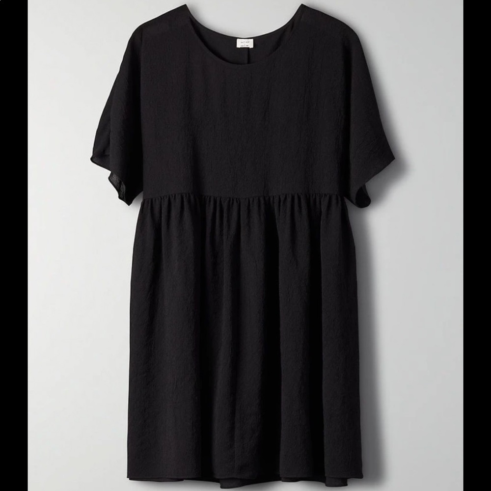 Aritzia Wilfred Kenzie babydoll dress